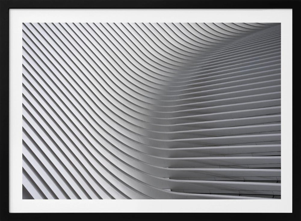 Calatrava Curves #2 | Poster