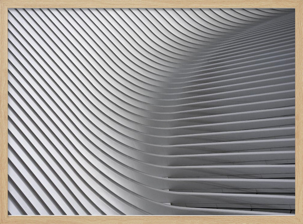 Calatrava Curves #2 | Poster