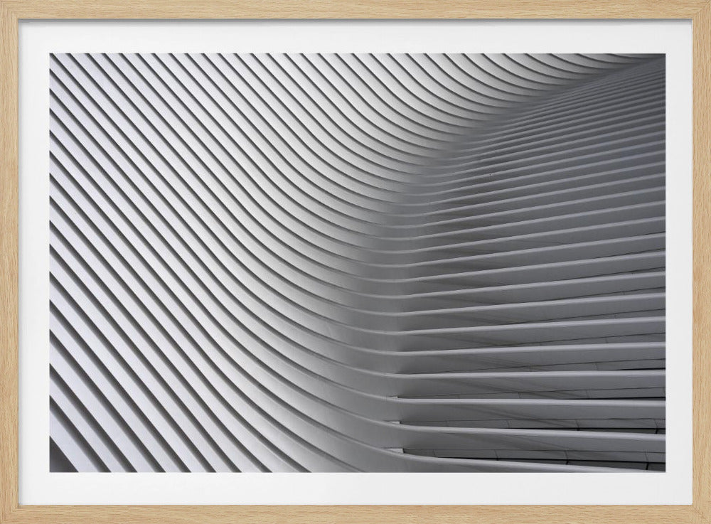 Calatrava Curves #2 | Poster
