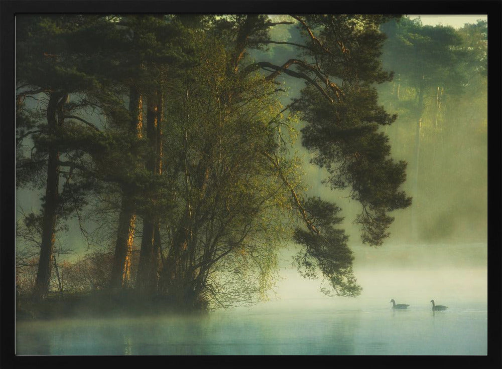 Hollands veen | Poster