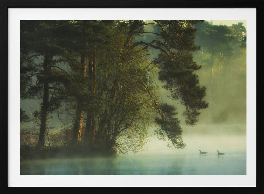 Hollands veen | Poster