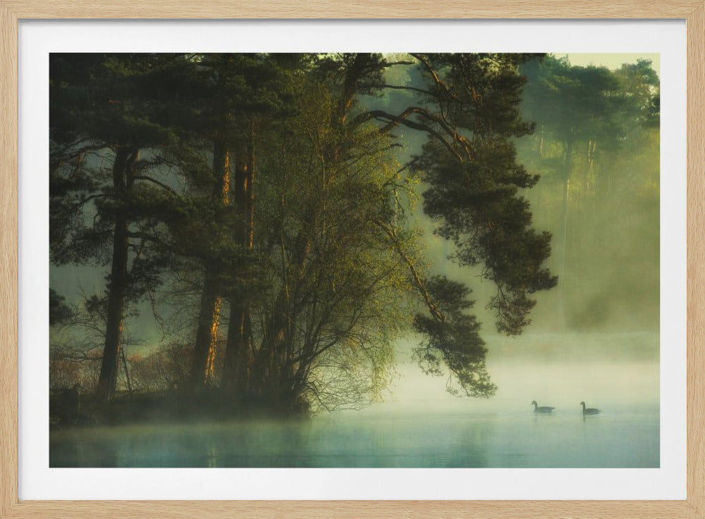 Hollands veen | Poster
