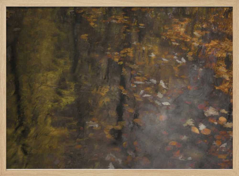 Herfstimpressie | Poster