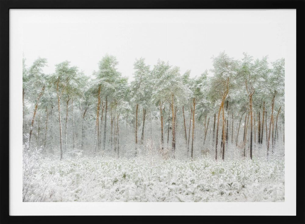 Snow world | Poster