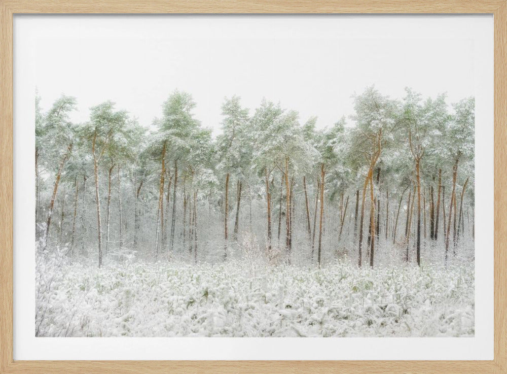 Snow world | Poster