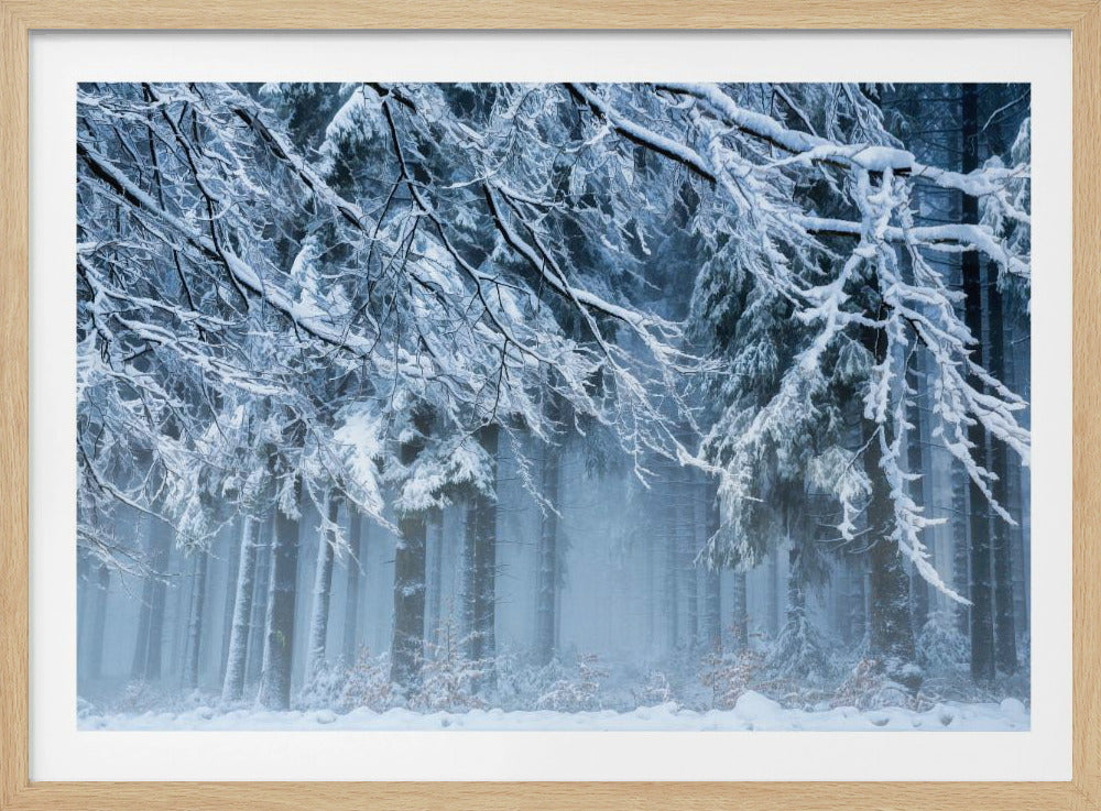 Sneeuwwereld | Poster