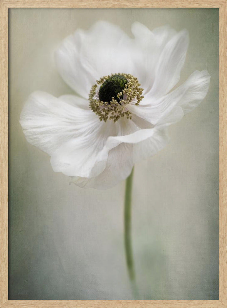 Enkele Witte | Poster