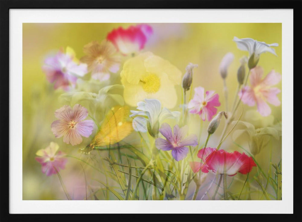 Kleine tuin in een zomerveld | Poster
