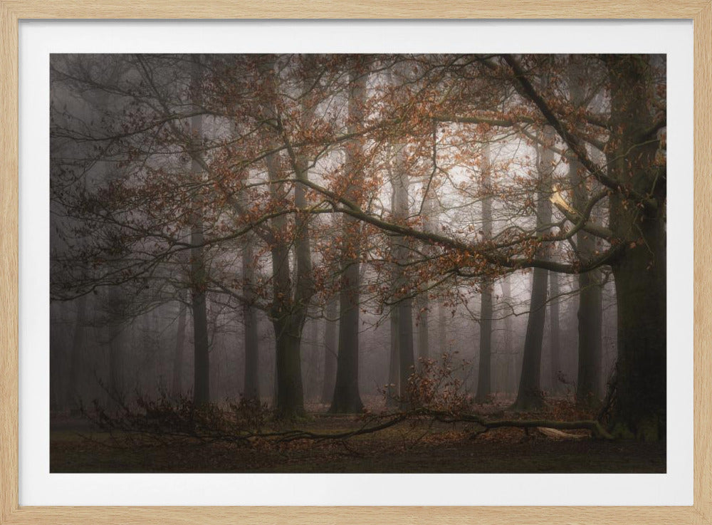 Foggy memory  of the past | Poster