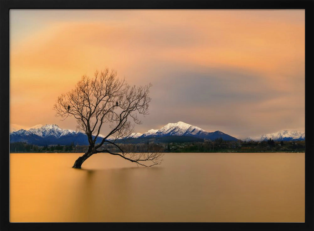 Ochtendgloed van Lake Wanaka | Poster