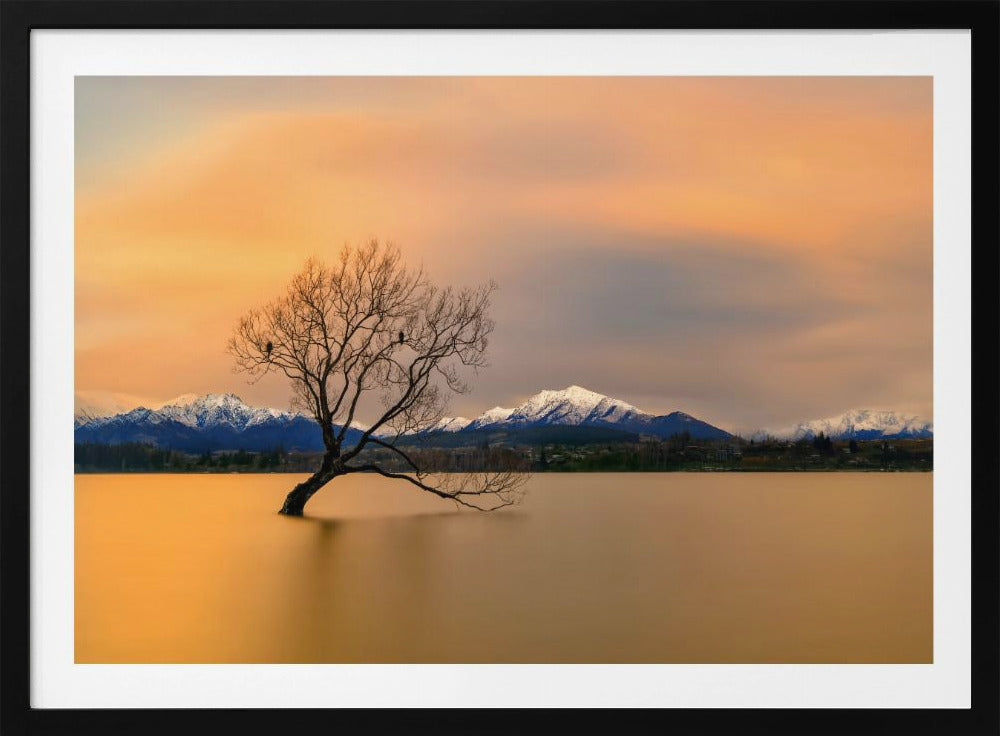 Ochtendgloed van Lake Wanaka | Poster