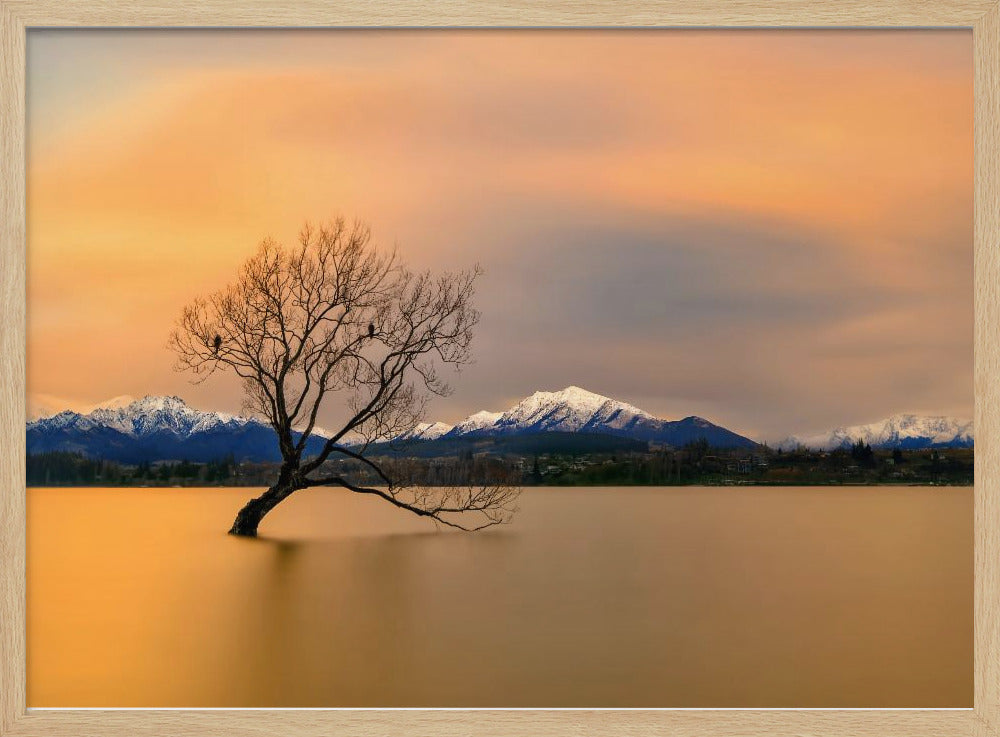 Ochtendgloed van Lake Wanaka | Poster