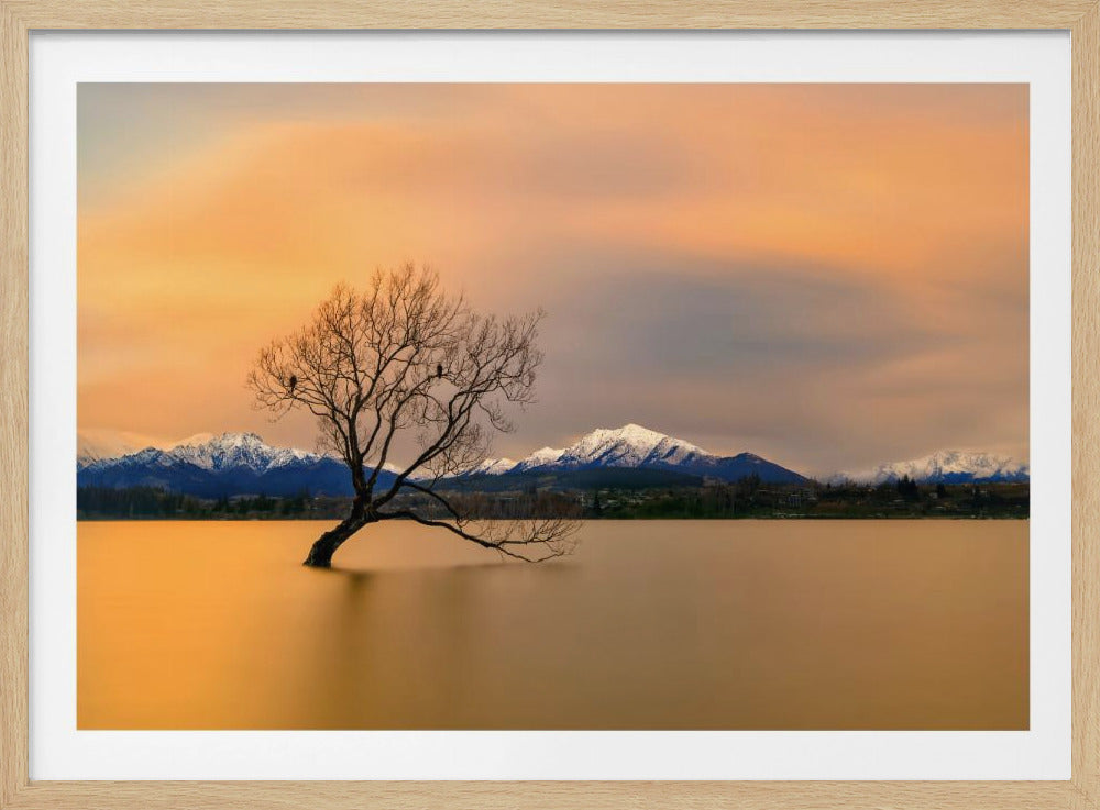 Ochtendgloed van Lake Wanaka | Poster