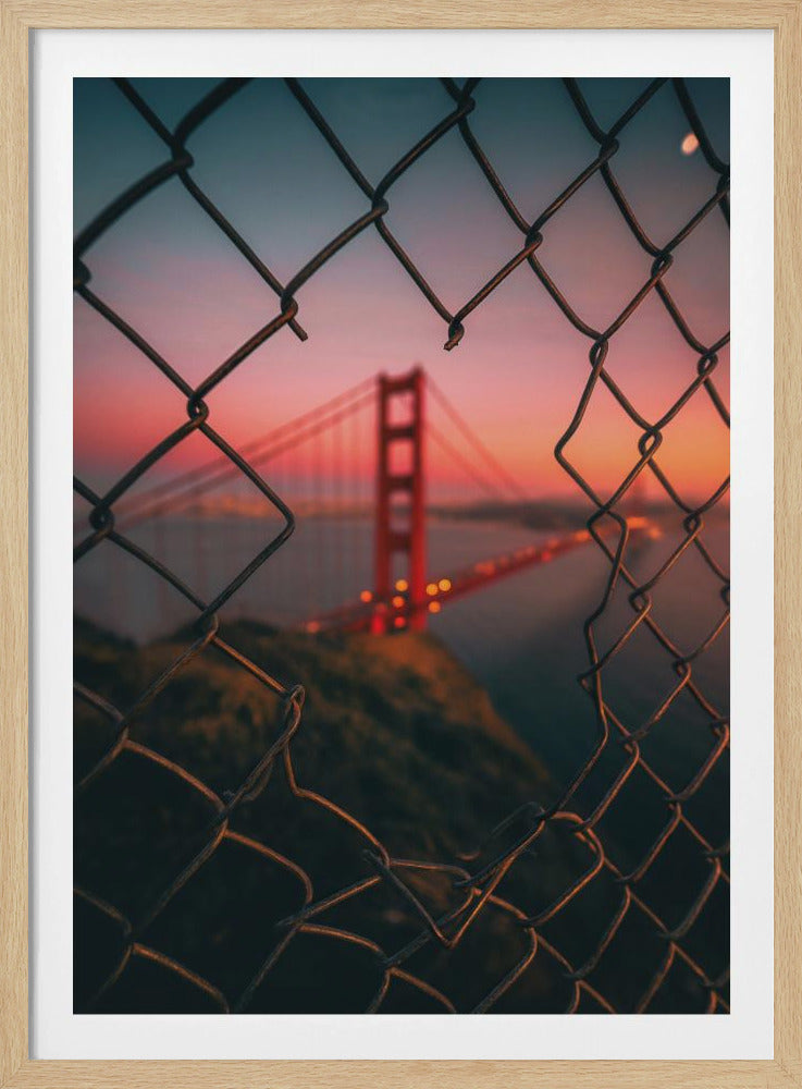 Golden Gate Gekooid | Poster