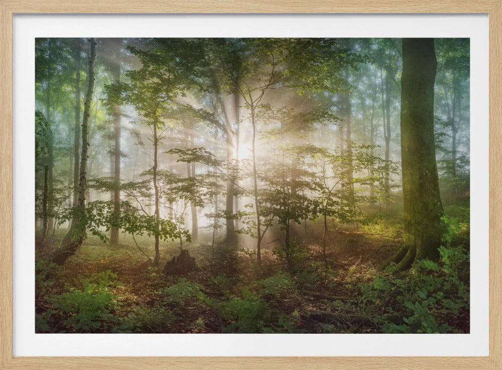 ochtendzon | Poster