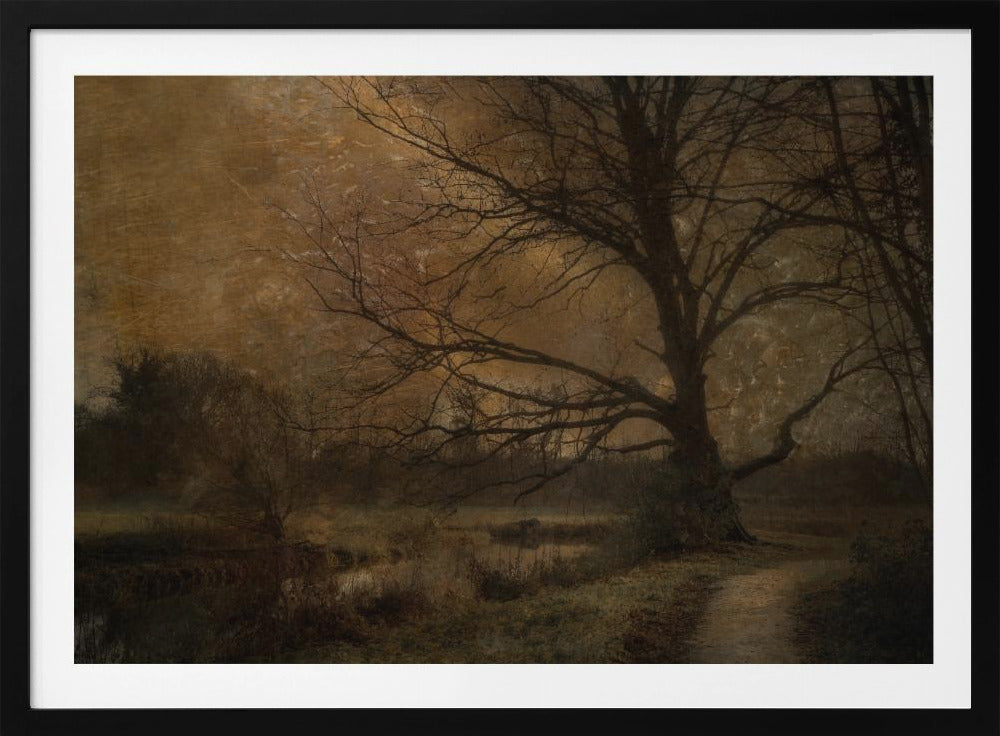 Old tree | Poster