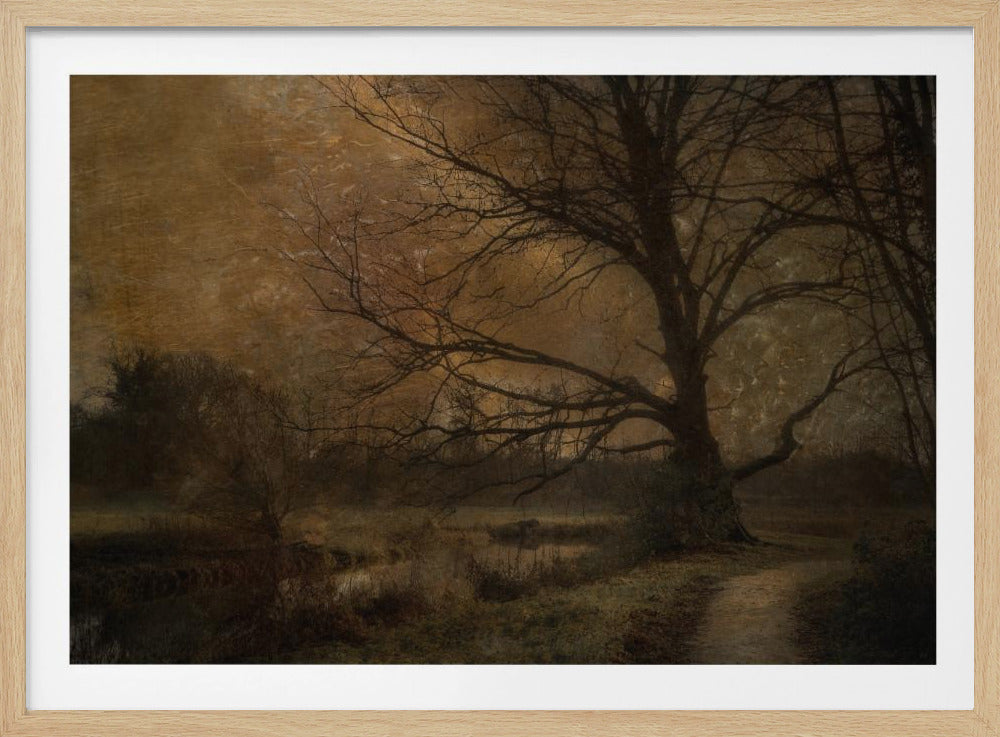 Old tree | Poster