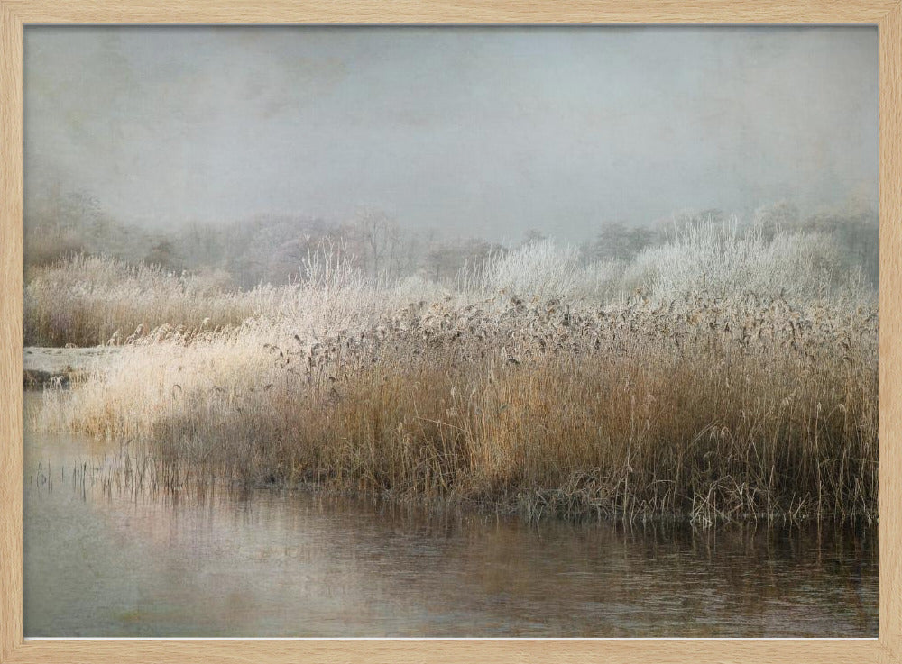 Wintermorgen | Poster