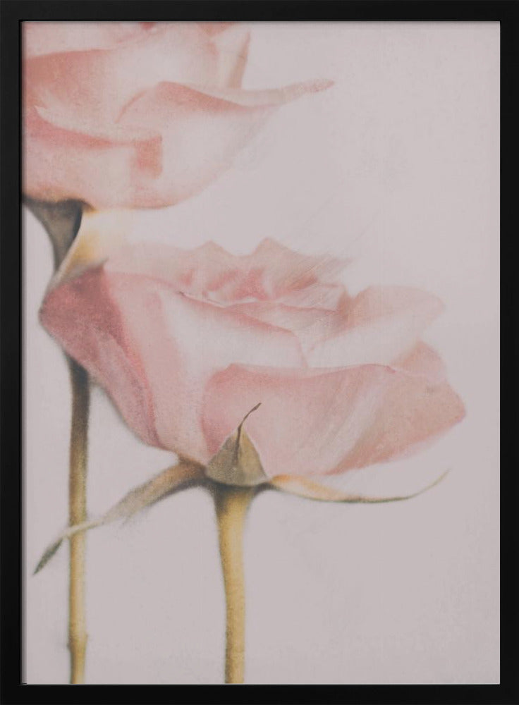 Twee Rozen | Poster