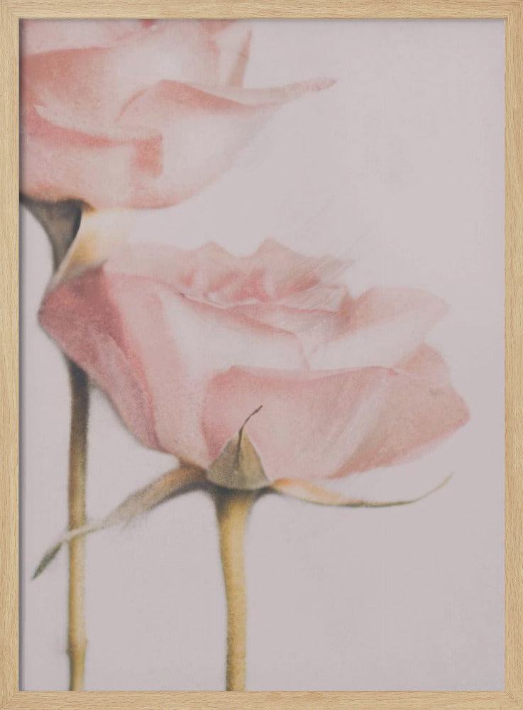 Twee Rozen | Poster