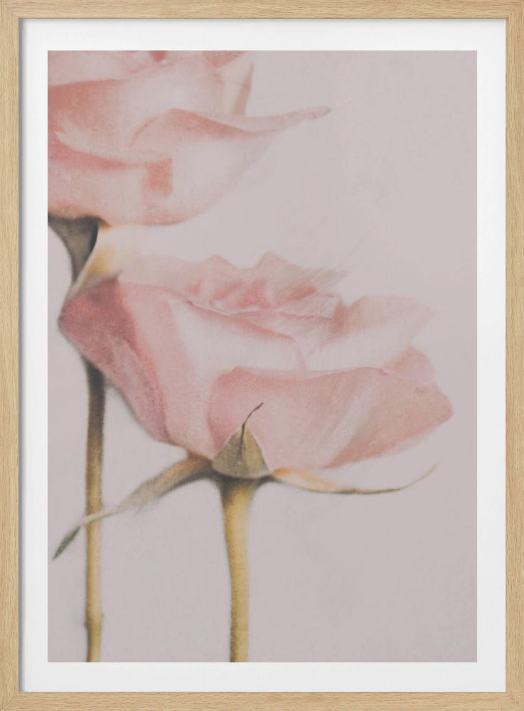 Twee Rozen | Poster