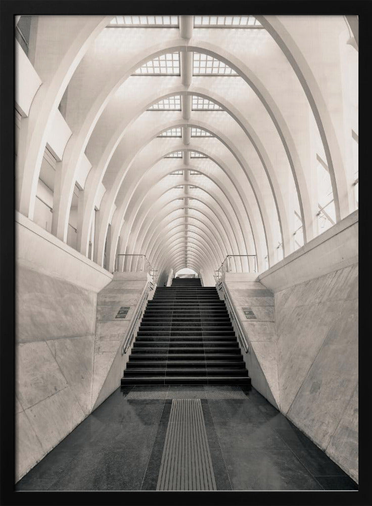 Inside Calatrava | Poster