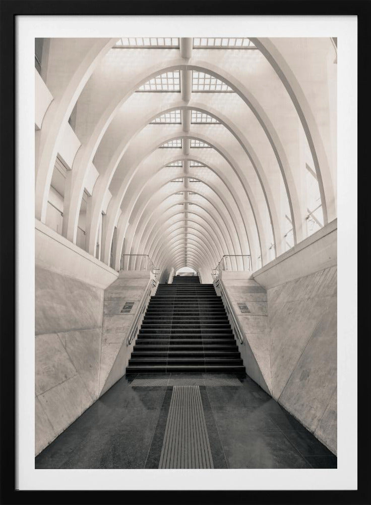 Inside Calatrava | Poster