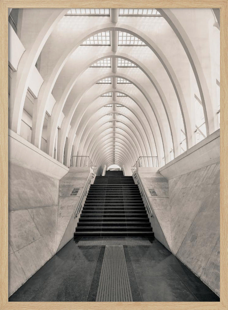 Inside Calatrava | Poster