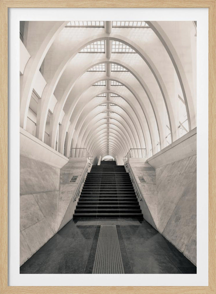 Inside Calatrava | Poster