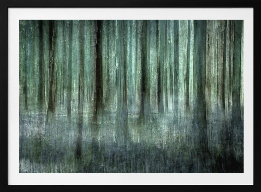 Boslicht | Poster
