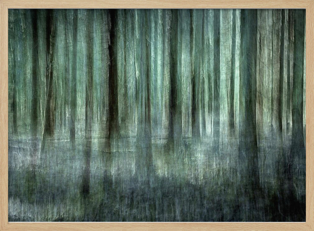 Boslicht | Poster