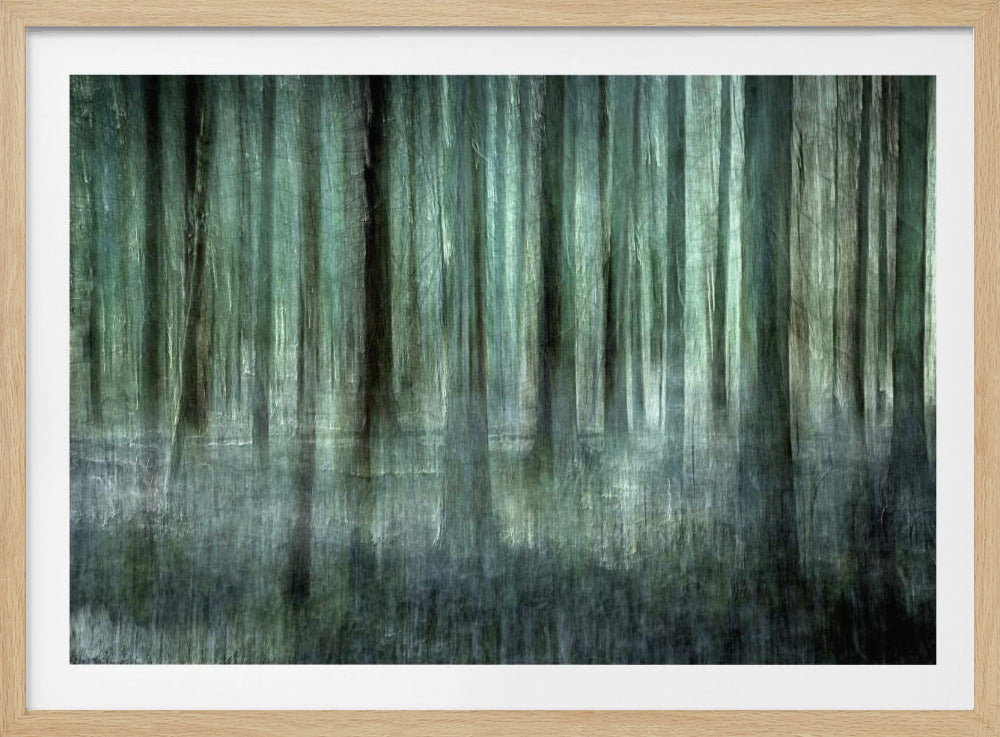 Boslicht | Poster