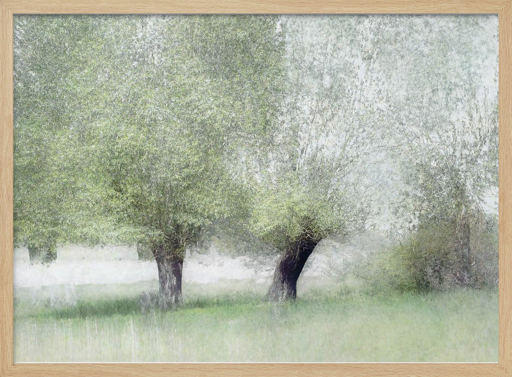 Jong groen | Poster