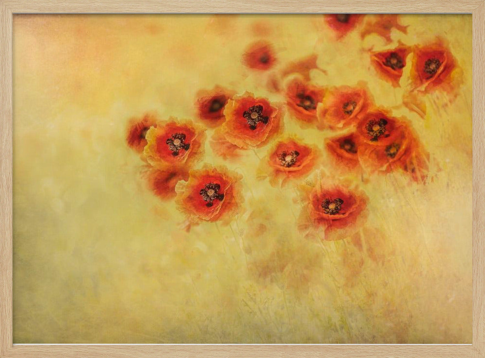 Zomergevoel | Poster