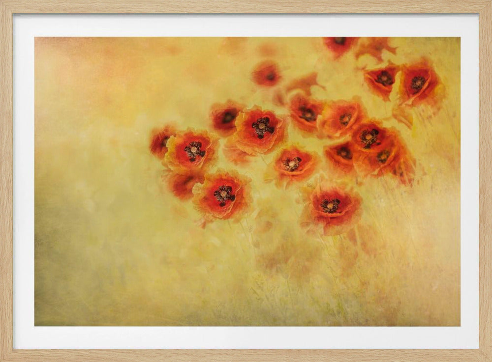 Zomergevoel | Poster