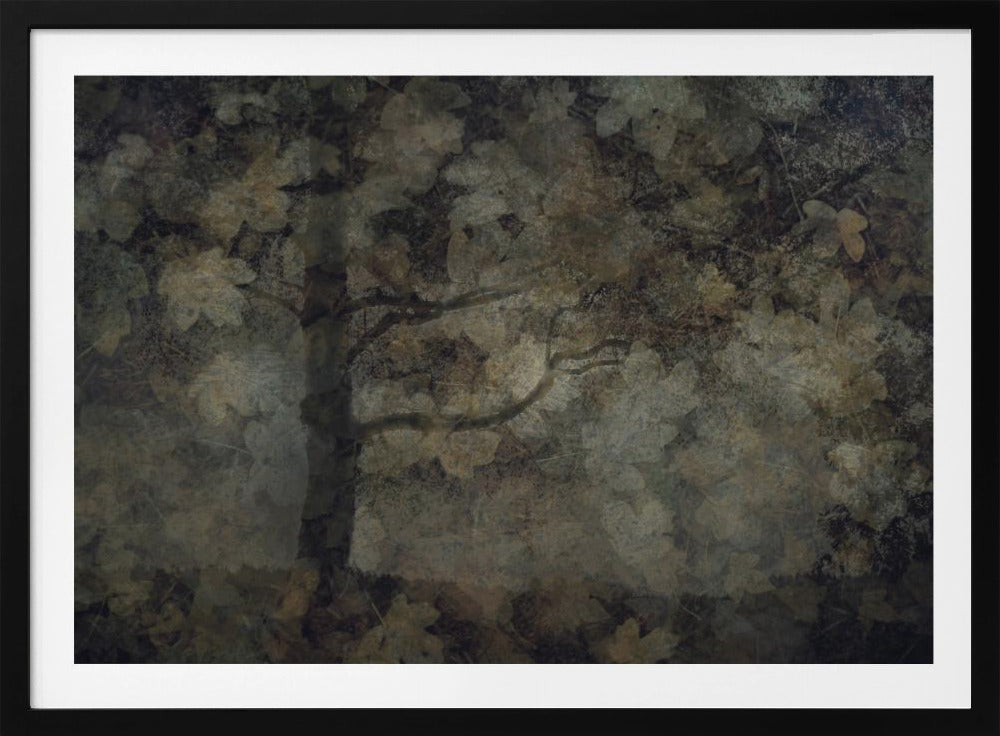 Donker bos | Poster