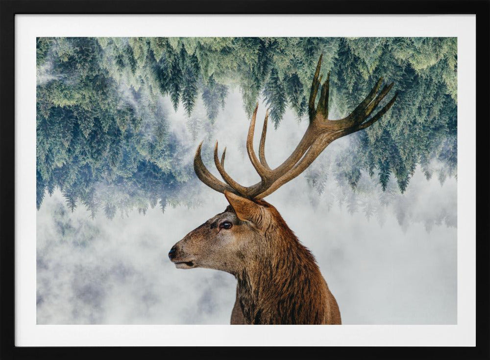 The Deer and the woods | Poster