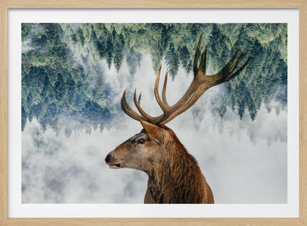 The Deer and the woods | Poster