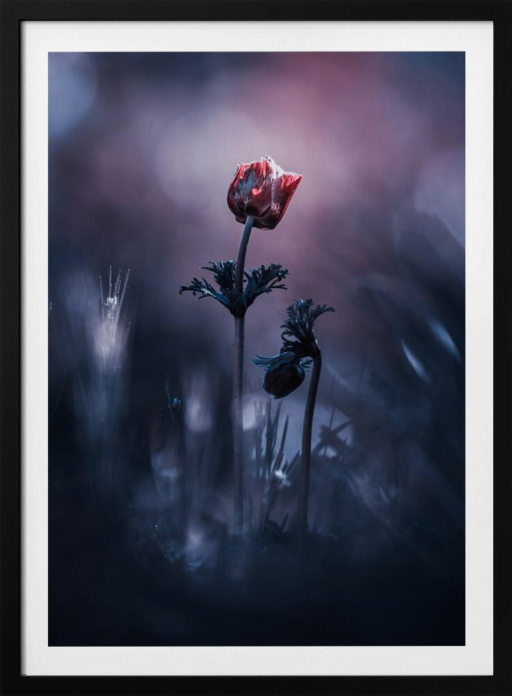 Vroeg Meisje | Poster