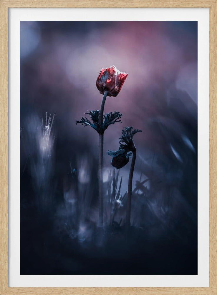 Vroeg Meisje | Poster