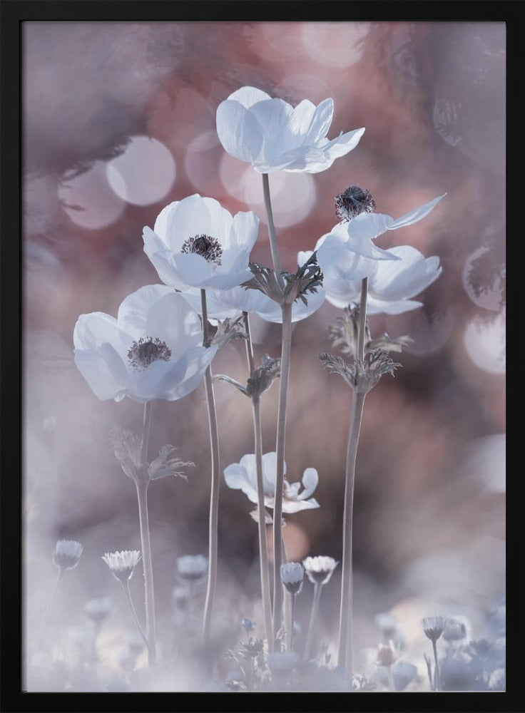 Alle bloemen van alle morgens zitten in de zaden van vandaag | Poster