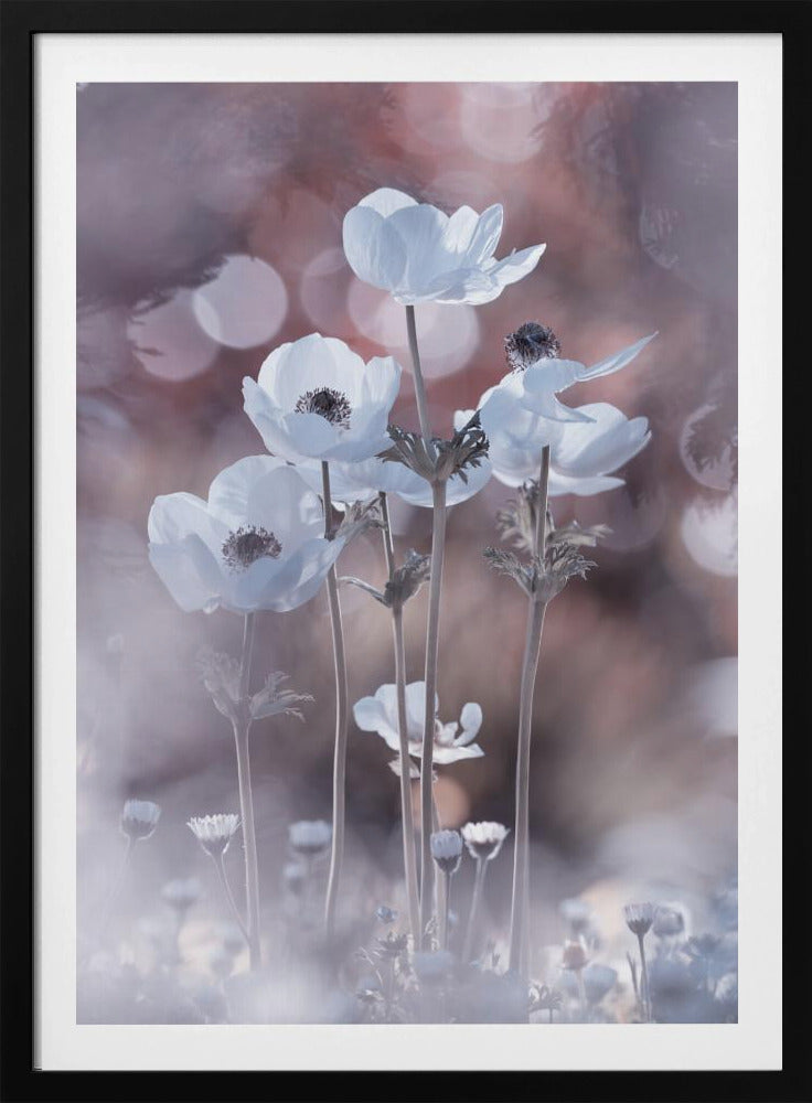 Alle bloemen van alle morgens zitten in de zaden van vandaag | Poster