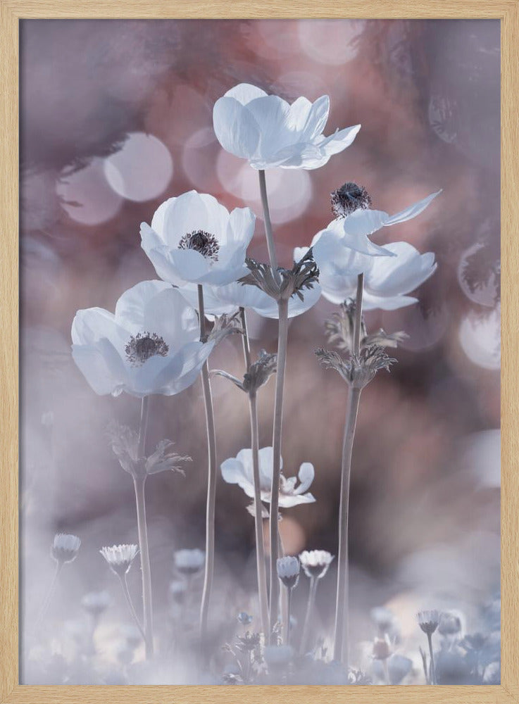 Alle bloemen van alle morgens zitten in de zaden van vandaag | Poster