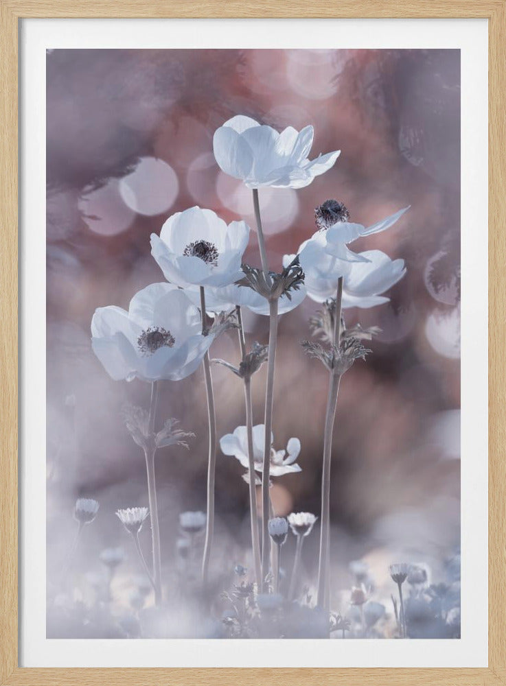 Alle bloemen van alle morgens zitten in de zaden van vandaag | Poster
