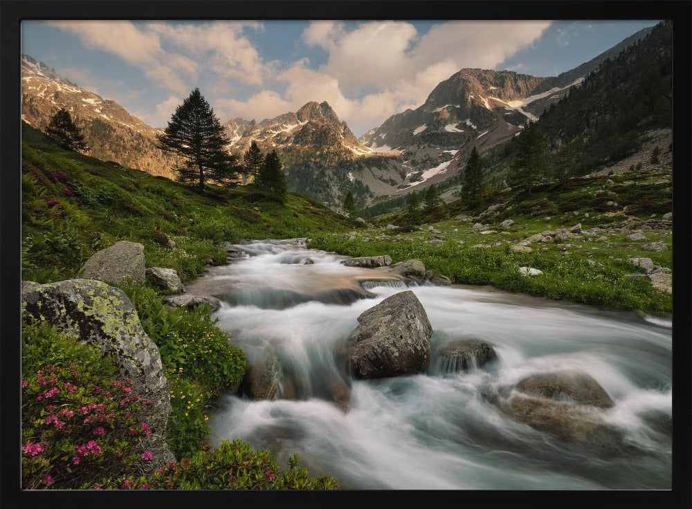 Maritiem Alpenpark | Poster