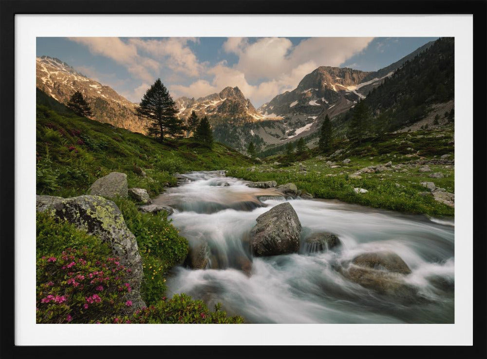 Maritiem Alpenpark | Poster