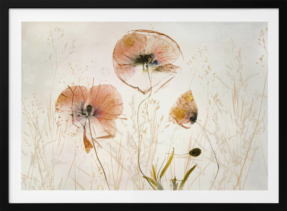Licht en zacht | Poster