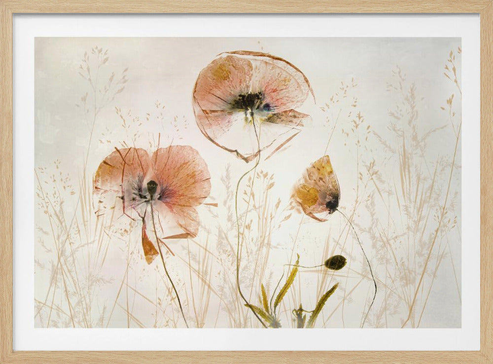 Licht en zacht | Poster