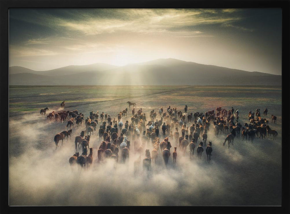 Wild Horses | Poster