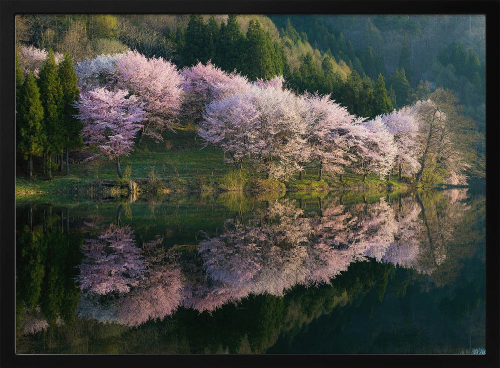 Sakura | Poster
